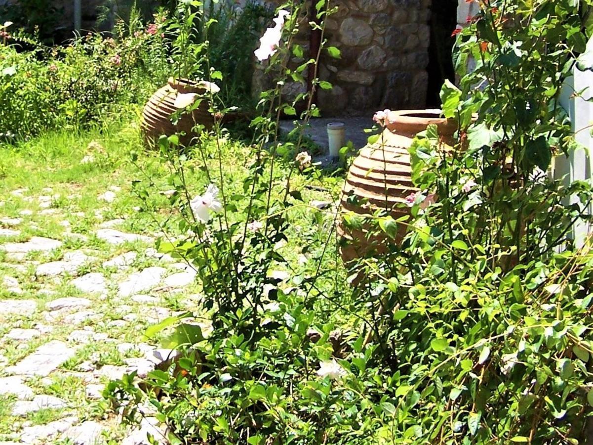 Ανεξαρτητο Studio Στο Ομορφο Καστορειο Kastorion Exterior foto