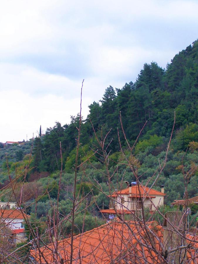 Ανεξαρτητο Studio Στο Ομορφο Καστορειο Kastorion Exterior foto
